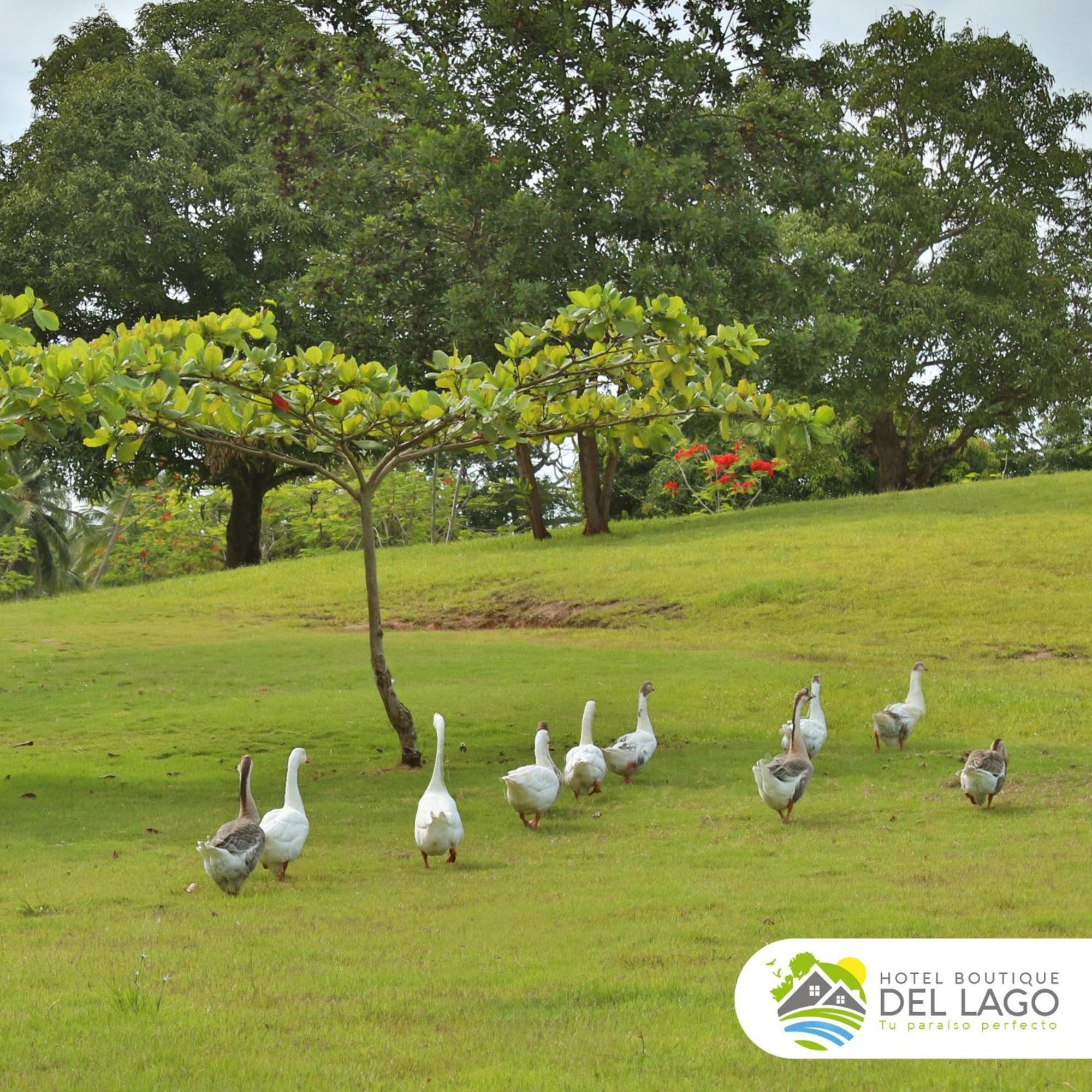 Hotel Boutique Del Lago Nagua Exterior photo